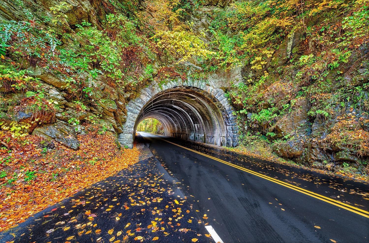 A Stones Throw, You Get 1089 Free Attraction Tickets Per Paid Day, Dollywood And Much More! Pigeon Forge Exteriér fotografie