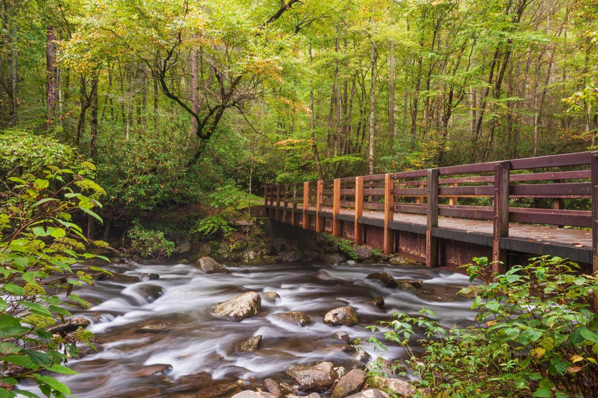 A Stones Throw, You Get 1089 Free Attraction Tickets Per Paid Day, Dollywood And Much More! Pigeon Forge Exteriér fotografie