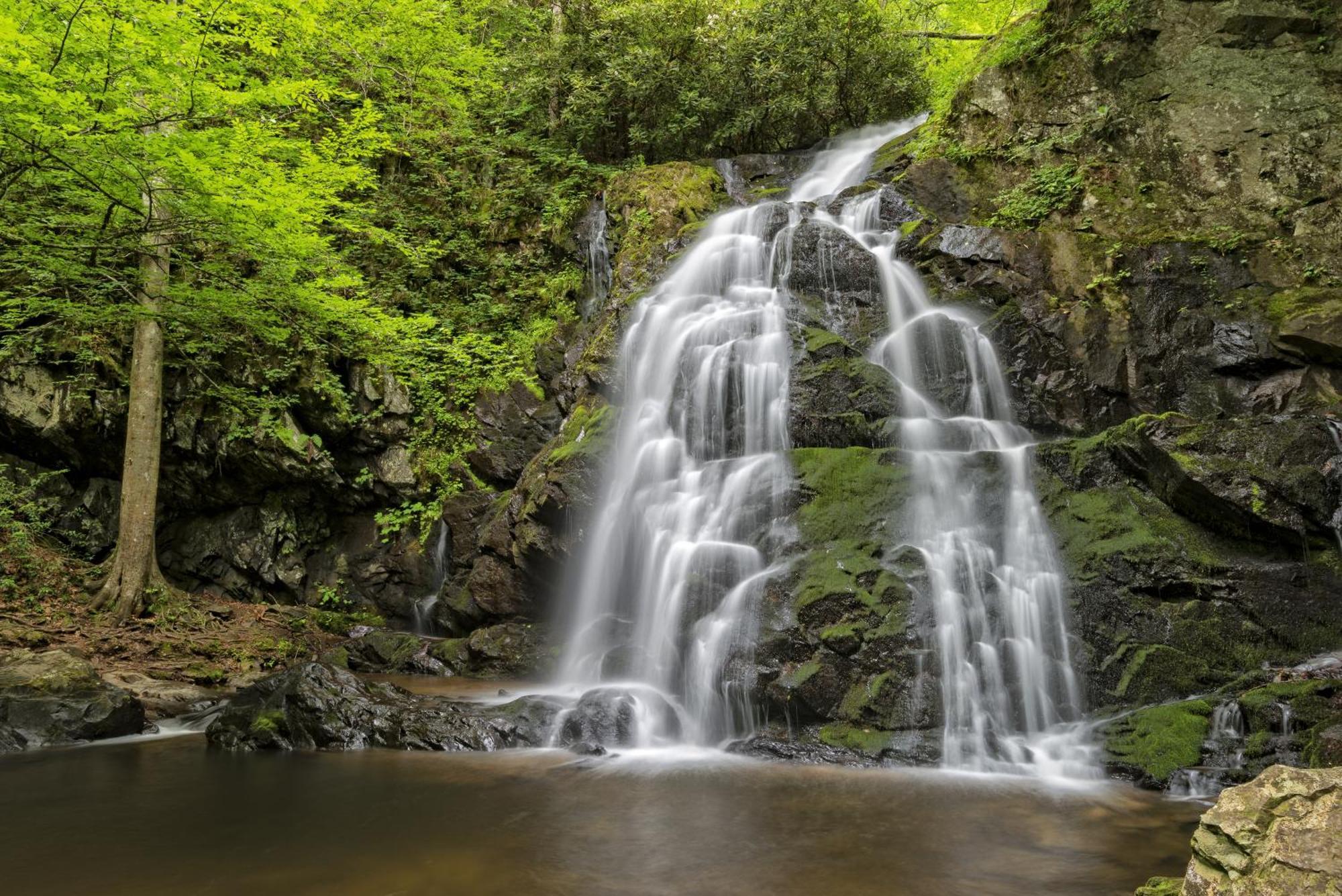 A Stones Throw, You Get 1089 Free Attraction Tickets Per Paid Day, Dollywood And Much More! Pigeon Forge Exteriér fotografie